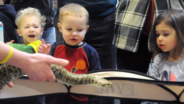 Reptiles at New London library