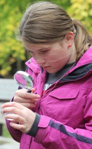 Clintonville Middle School student Brooklyn Bothe uses a magnifying glass to look at a spiny water flea, an aquatic invasives species found in a handful of bodies of water in Wisconsin. Bothe is one of more than 300 fifth-graders from throughout Waupaca County to visit Hartman Creek State Park Oct. 7 for the  annual Waupaca County Conservation Field Day. Greg Seubert Photo