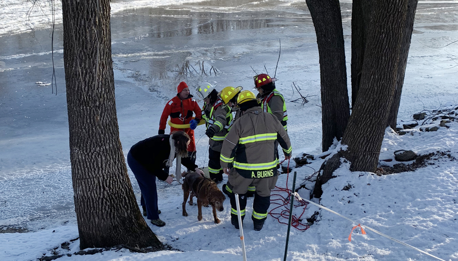 Firefighters rescue dog from Wolf River