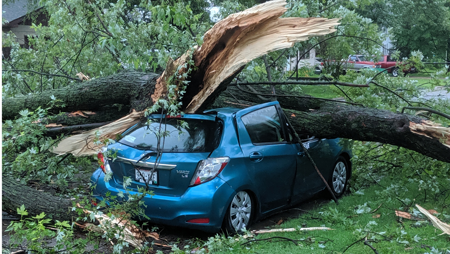 A large tree crushes a parked vehicle during the storm. Submitted photo