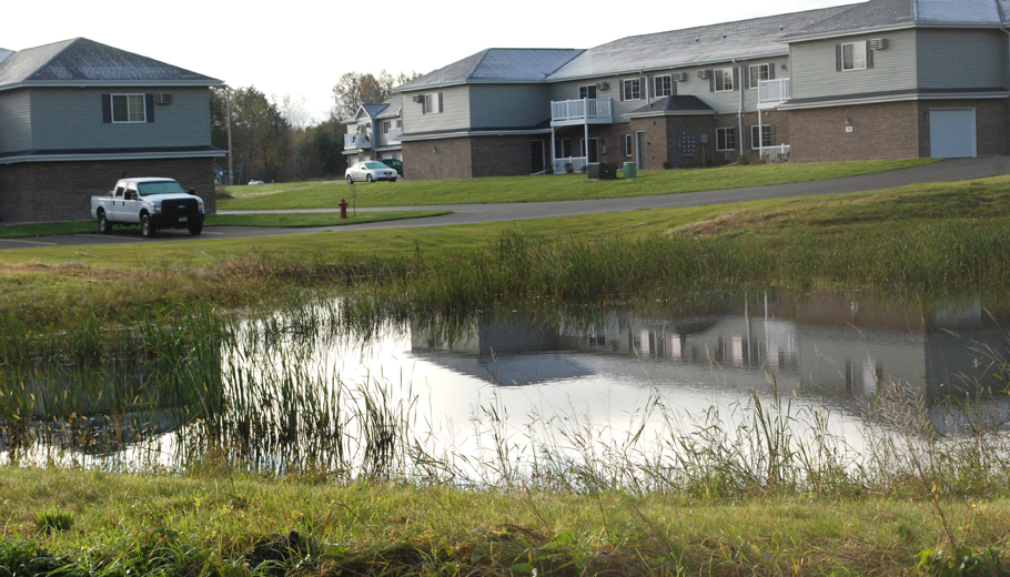 Safety concerns regarding pond
