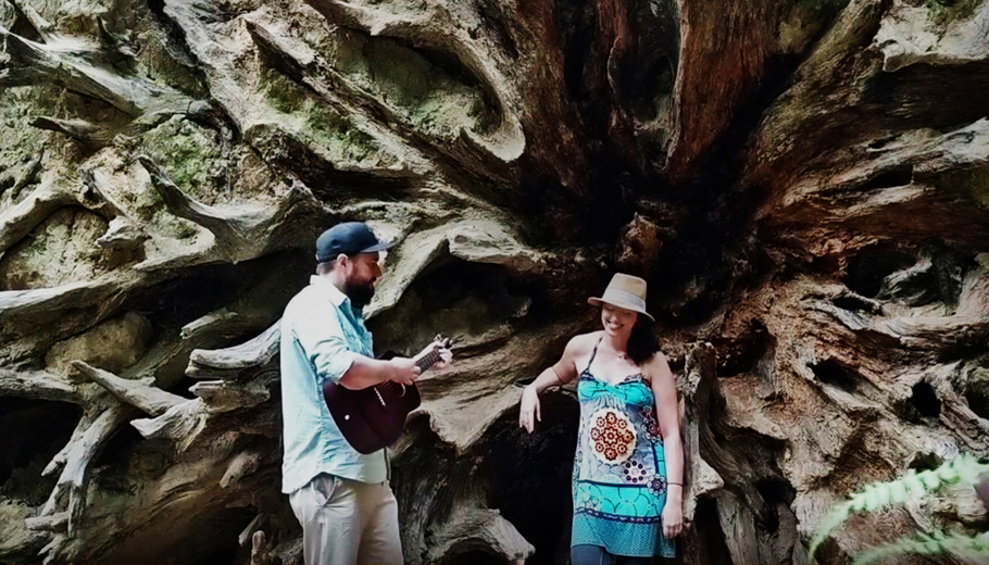 Musicians make their marks in national parks
