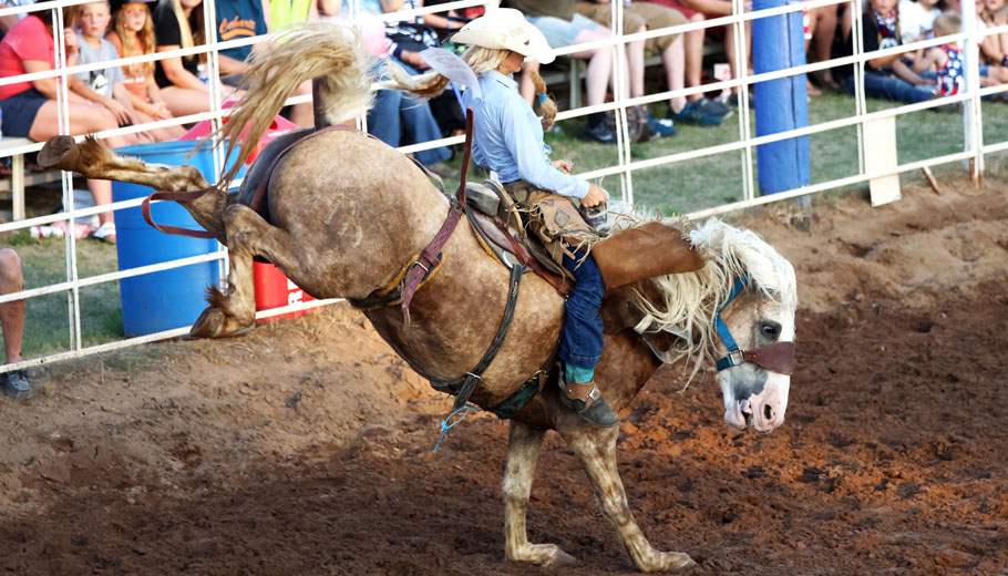 Spierings finds her rodeo calling