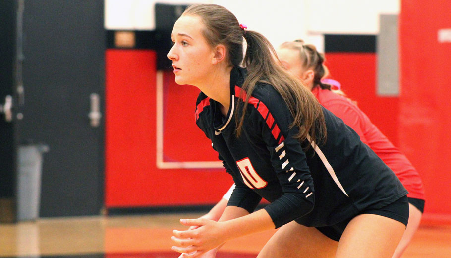 Volleyball teams get home match